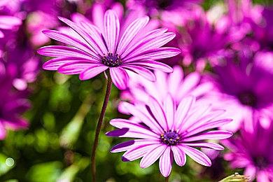 《鬼谷八荒》羽化-登仙版本预告 6月30日更新上线